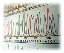 sequence data