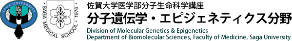 佐賀大学医学部　分子遺伝学エピジェネティクス分野